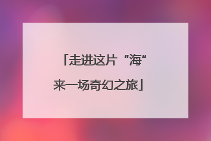走进这片“海”来一场奇幻之旅