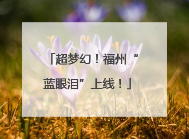 超梦幻！福州“蓝眼泪”上线！