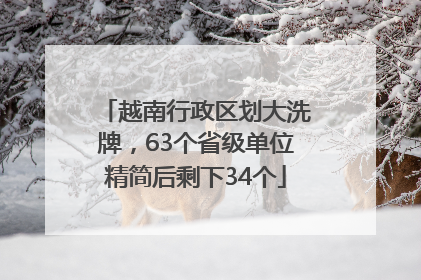 越南行政区划大洗牌，63个省级单位精简后剩下34个