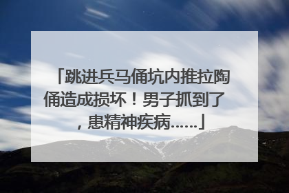 跳进兵马俑坑内推拉陶俑造成损坏！男子抓到了，患精神疾病……