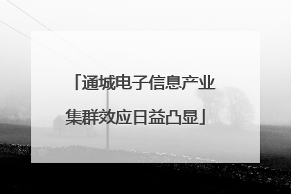 通城电子信息产业集群效应日益凸显