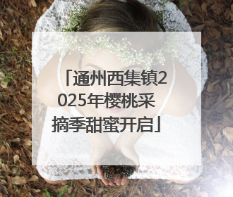 通州西集镇2025年樱桃采摘季甜蜜开启