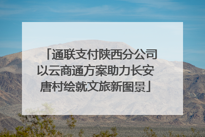 通联支付陕西分公司以云商通方案助力长安唐村绘就文旅新图景
