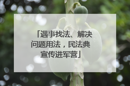 遇事找法、解决问题用法，民法典宣传进军营