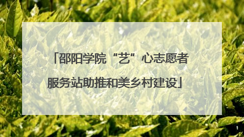 邵阳学院“艺”心志愿者服务站助推和美乡村建设