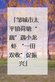 邹城市太平镇荷塘“藕”遇小龙虾 “一田双收”促振兴