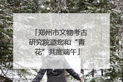 郑州市文物考古研究院邀您和“青花”共度端午