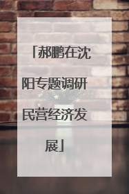 郝鹏在沈阳专题调研民营经济发展