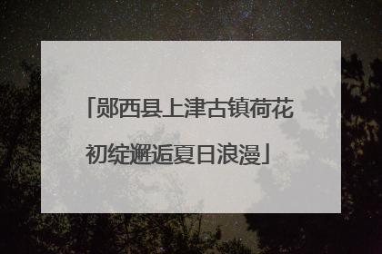 郧西县上津古镇荷花初绽邂逅夏日浪漫