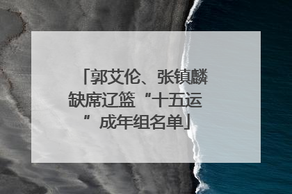 郭艾伦、张镇麟缺席辽篮“十五运”成年组名单