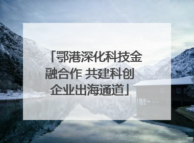 鄂港深化科技金融合作 共建科创企业出海通道