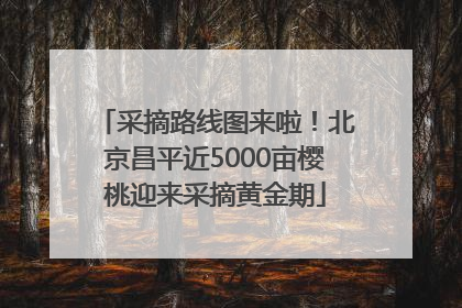 采摘路线图来啦！北京昌平近5000亩樱桃迎来采摘黄金期