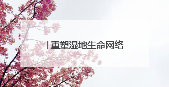 重塑湿地生命网络 赋能乡村“颜值”“产值”双提升
