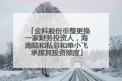 金科股份重整更换一家财务投资人，海南陆和私募和单小飞承接其投资额度