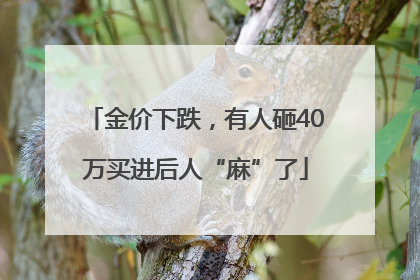 金价下跌，有人砸40万买进后人“麻”了