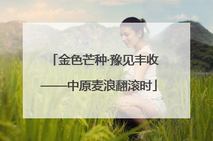 金色芒种·豫见丰收——中原麦浪翻滚时