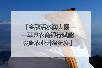 金融活水润大棚——莘县农商银行赋能设施农业升级纪实