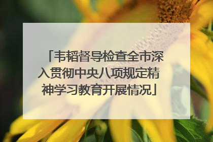 韦韬督导检查全市深入贯彻中央八项规定精神学习教育开展情况