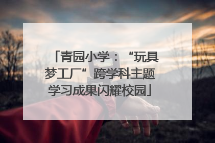 青园小学：“玩具梦工厂”跨学科主题学习成果闪耀校园