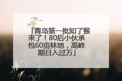青岛第一批知了猴来了！80后小伙承包60亩林地，高峰期日入过万