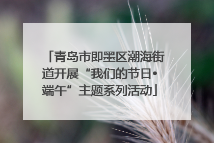 青岛市即墨区潮海街道开展“我们的节日•端午”主题系列活动