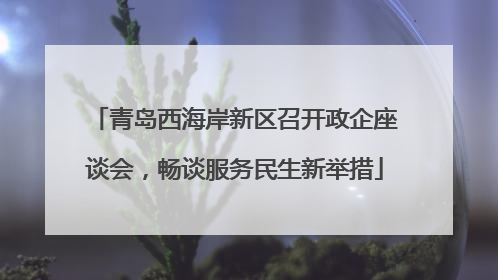 青岛西海岸新区召开政企座谈会，畅谈服务民生新举措