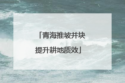 青海推坡并块提升耕地质效