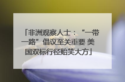 非洲观察人士：“一带一路”倡议至关重要 美国双标行径贻笑大方