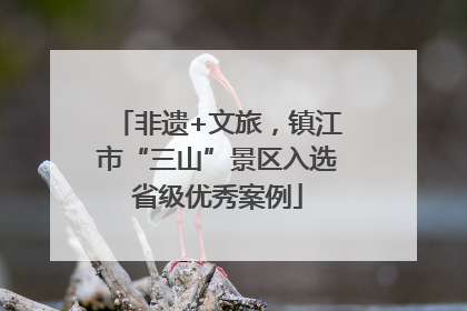 非遗+文旅，镇江市“三山”景区入选省级优秀案例