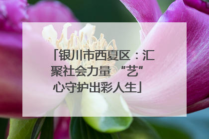 银川市西夏区：汇聚社会力量 “艺”心守护出彩人生