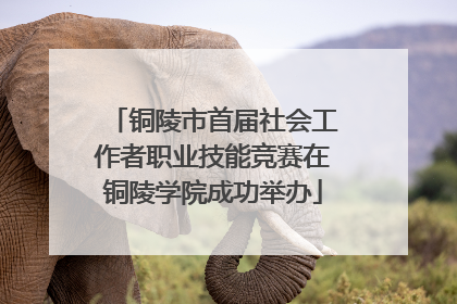 铜陵市首届社会工作者职业技能竞赛在铜陵学院成功举办
