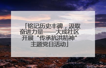 铭记历史丰碑，汲取奋进力量——大成社区开展“传承抗洪精神”主题党日活动