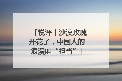 锐评｜沙漠玫瑰开花了，中国人的浪漫叫“担当”