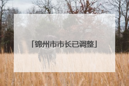 锦州市市长已调整