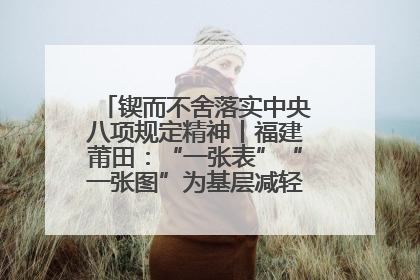 锲而不舍落实中央八项规定精神丨福建莆田：“一张表”“一张图”为基层减轻“数字负担”