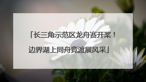 长三角示范区龙舟赛开桨！边界湖上同舟竞渡展风采