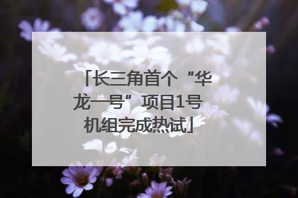 长三角首个“华龙一号”项目1号机组完成热试
