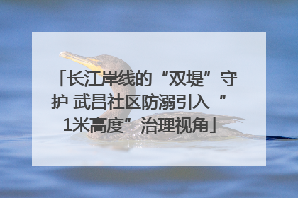 长江岸线的“双堤”守护 武昌社区防溺引入“1米高度”治理视角