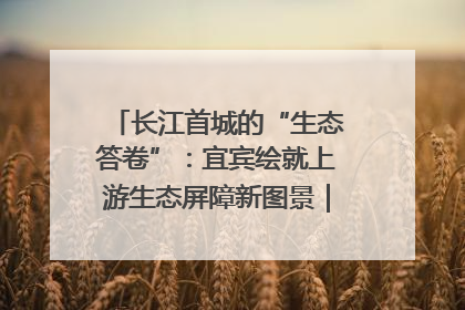 长江首城的“生态答卷”：宜宾绘就上游生态屏障新图景｜中华环保世纪行