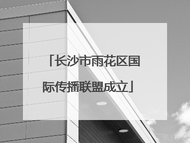 长沙市雨花区国际传播联盟成立