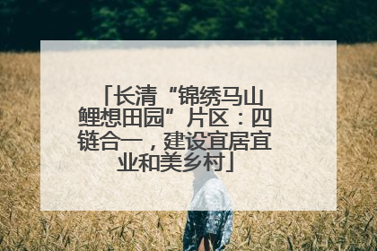 长清“锦绣马山 鲤想田园”片区：四链合一，建设宜居宜业和美乡村