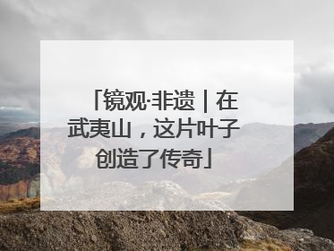 镜观·非遗｜在武夷山，这片叶子创造了传奇