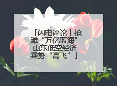 闪电评论丨抢滩“万亿蓝海” 山东低空经济乘势“高飞”
