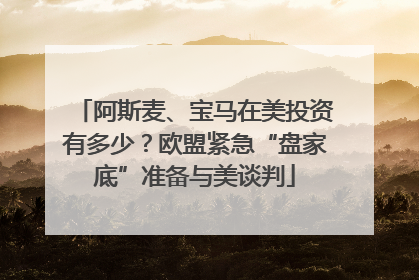 阿斯麦、宝马在美投资有多少？欧盟紧急“盘家底”准备与美谈判