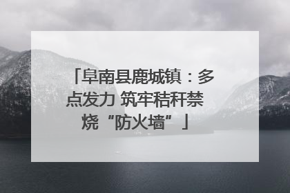 阜南县鹿城镇：多点发力 筑牢秸秆禁烧“防火墙”