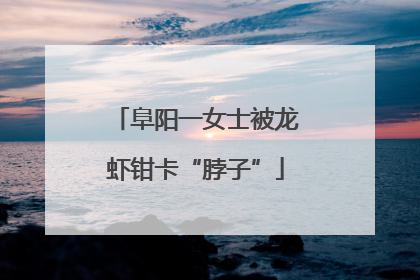 阜阳一女士被龙虾钳卡“脖子”