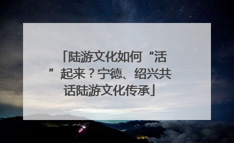 陆游文化如何“活 ”起来？宁德、绍兴共话陆游文化传承