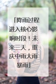 降雨过程进入核心影响时段！未来三天，重庆中雨大雨暴雨