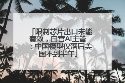 限制芯片出口未能奏效，白宫AI主管：中国模型仅落后美国不到半年