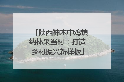 陕西神木中鸡镇纳林采当村：打造乡村振兴新样板